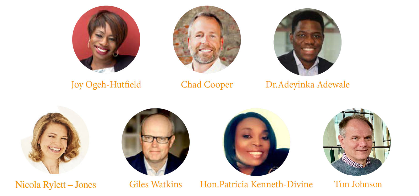 The webinar team
